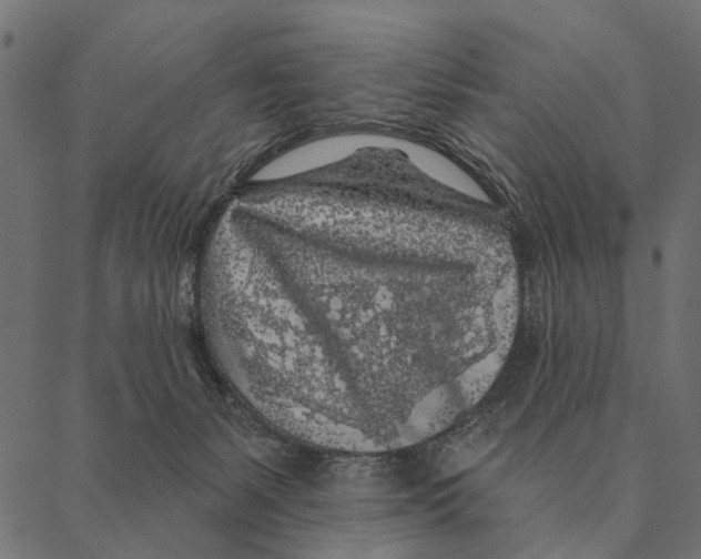 X0000087340127200705181111