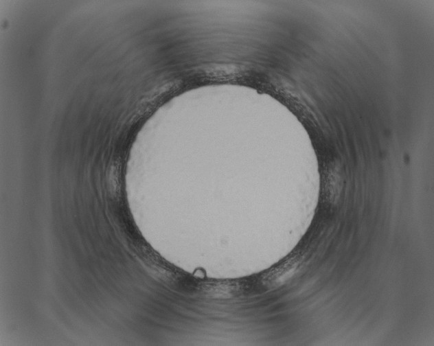 X0000087340131200705181111