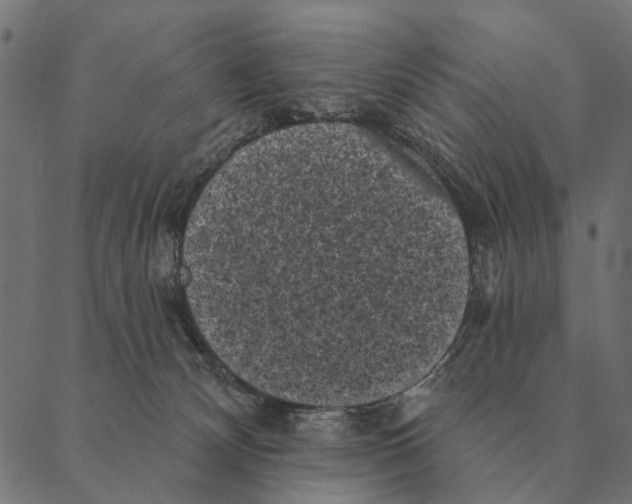 X0000087340132200705181111