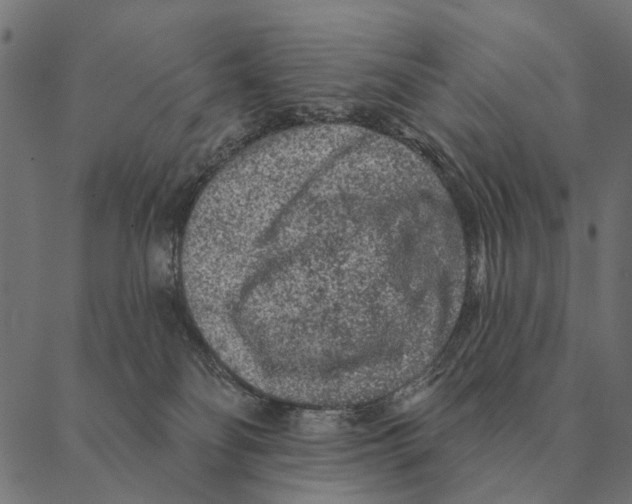 X0000087340134200705181111
