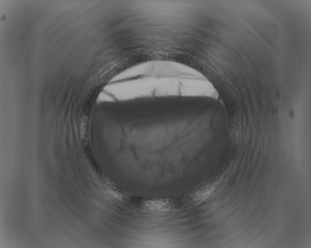 X0000087340139200705181111