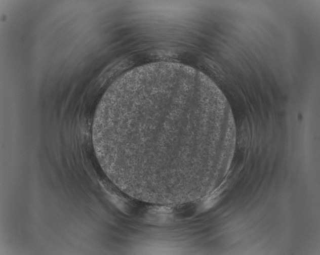 X0000087340140200705181110