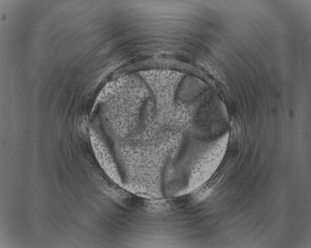 X0000087340141200705181110