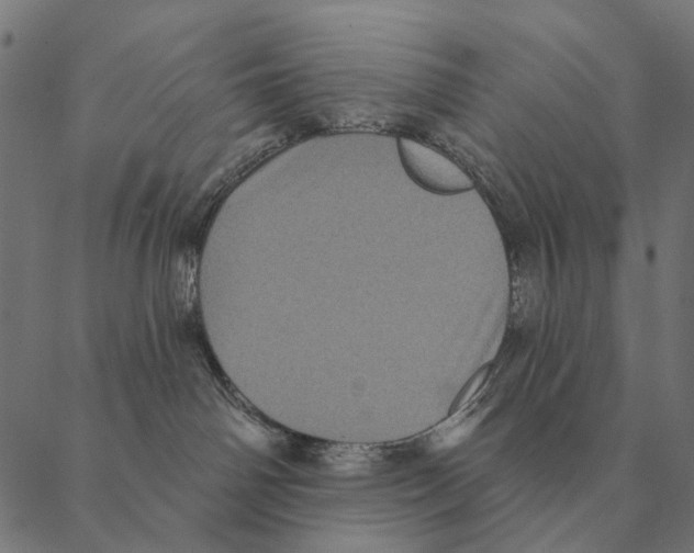 X0000087340142200705181110