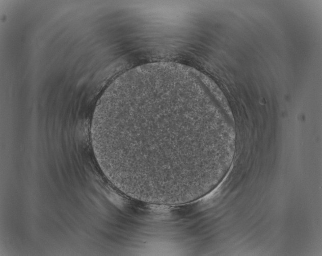 X0000087340144200705181110