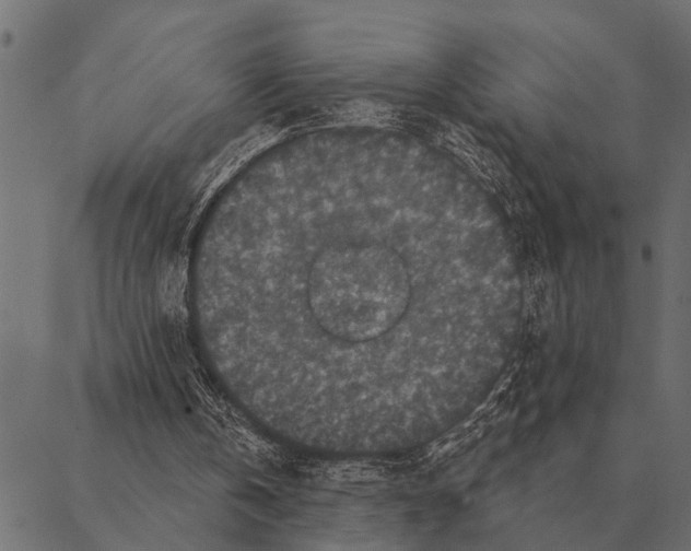 X0000087340146200705181110