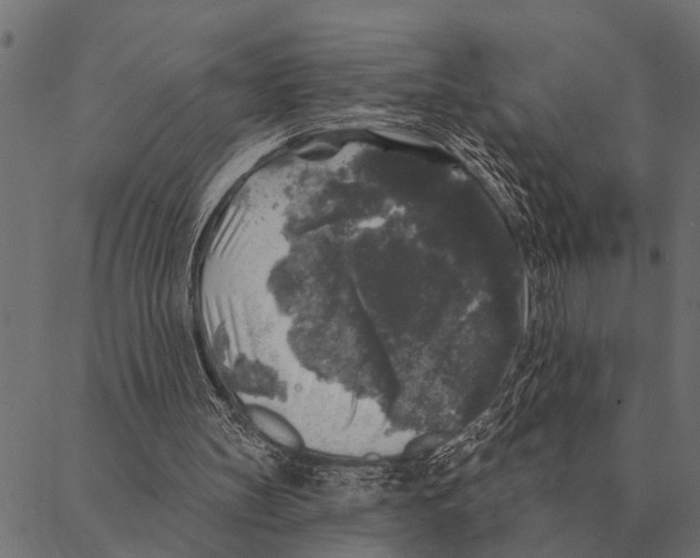 X0000087340147200705181110
