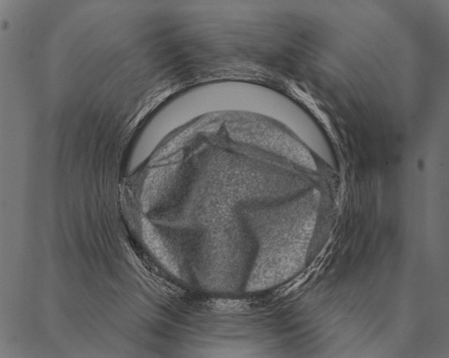 X0000087340154200705181110