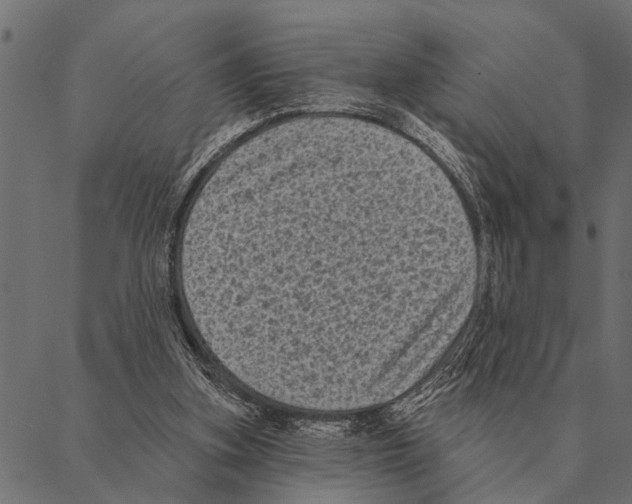 X0000087340155200705181110