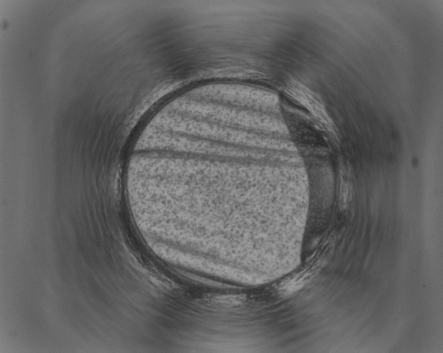 X0000087340156200705181110