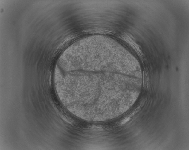 X0000087340157200705181110