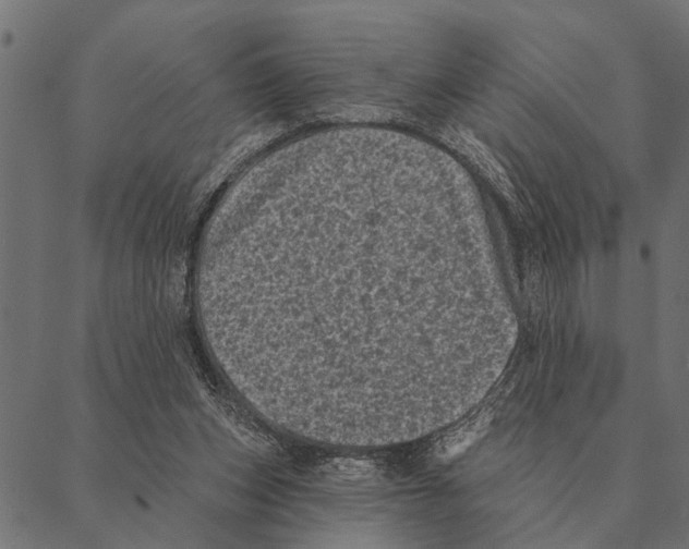 X0000087340159200705181110