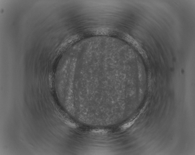 X0000087340161200705181110