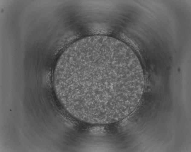X0000087340162200705181110