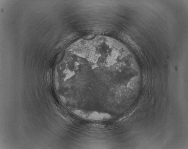 X0000087340165200705181110