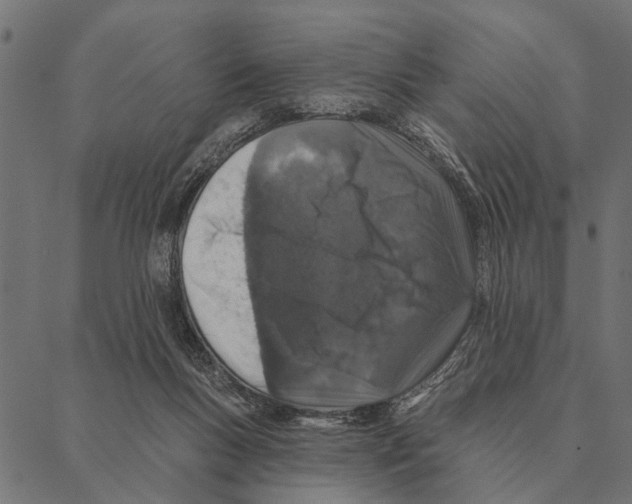 X0000087340167200705181110