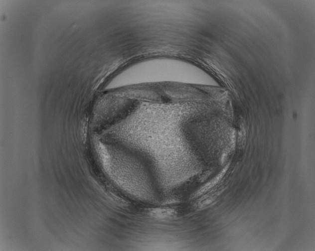X0000087340168200705181110