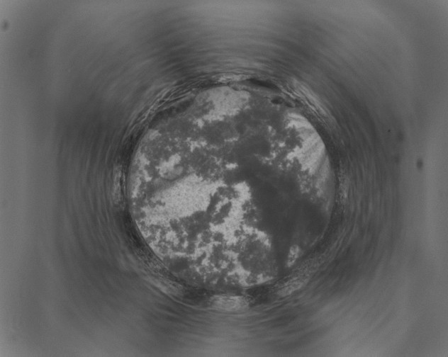 X0000087340169200705181110