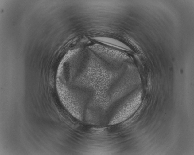 X0000087340170200705181110