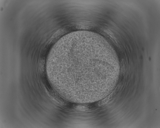 X0000087340171200705181110