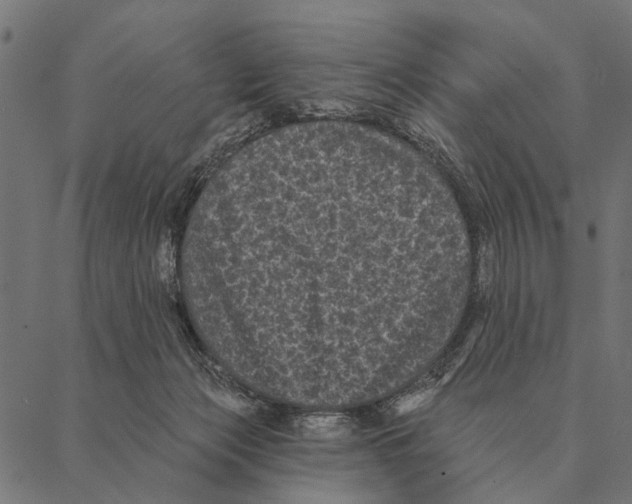 X0000087340173200705181110
