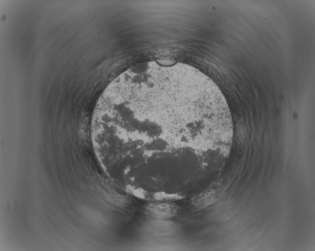 X0000087340181200705181110