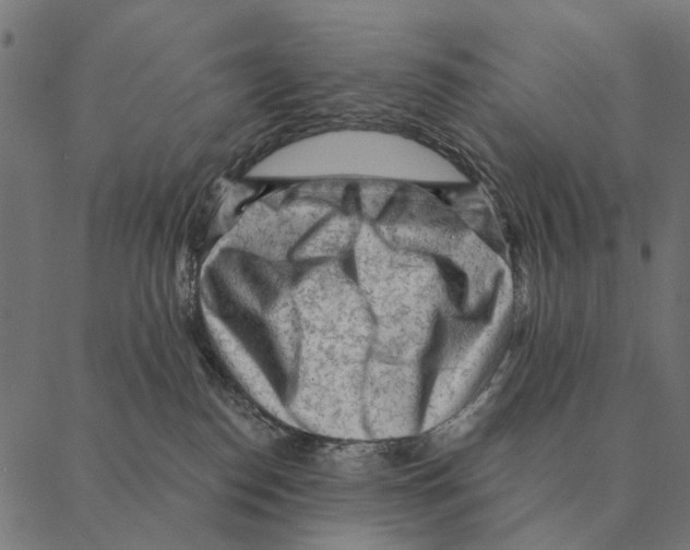 X0000087340186200705181110