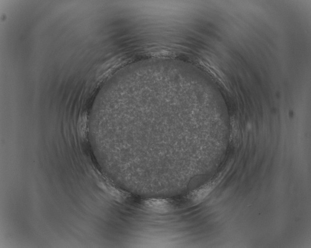 X0000087340189200705181110