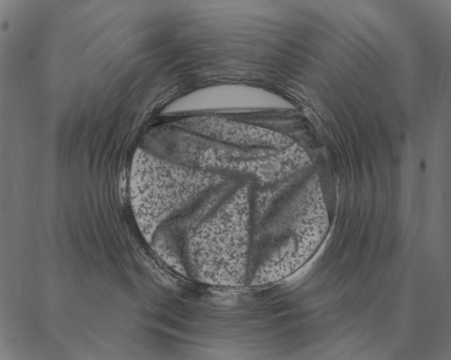 X0000087340190200705181110