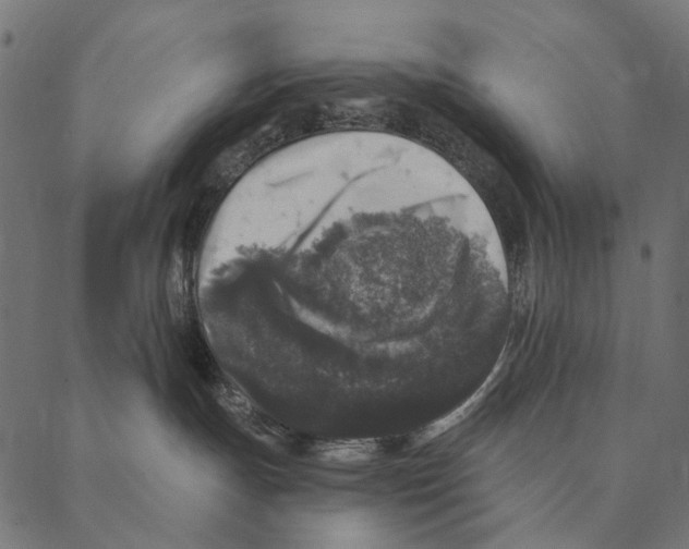 X0000087340191200705181110