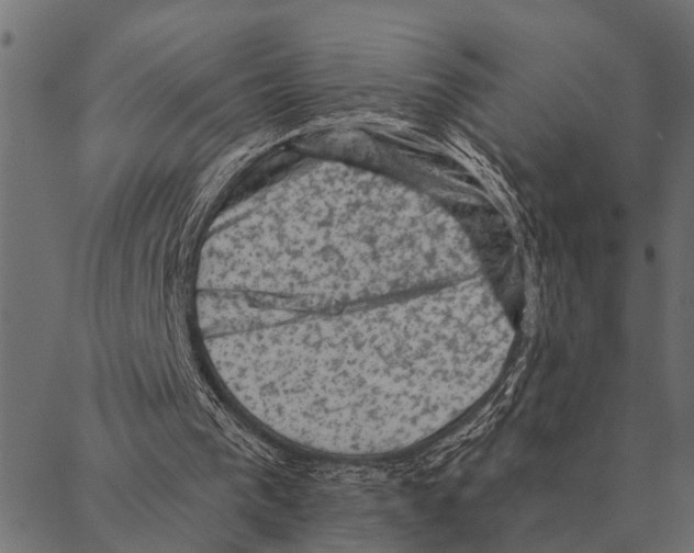 X0000087340193200705181110