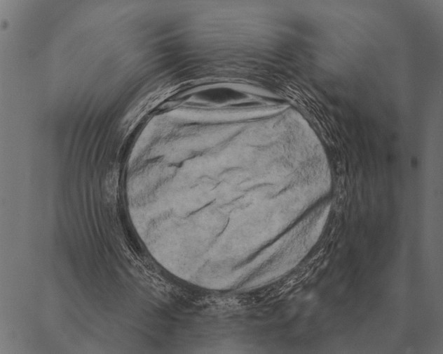 X0000087340194200705181110
