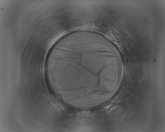 X0000087340196200705181110