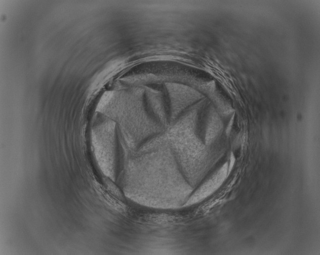 X0000087340197200705181110