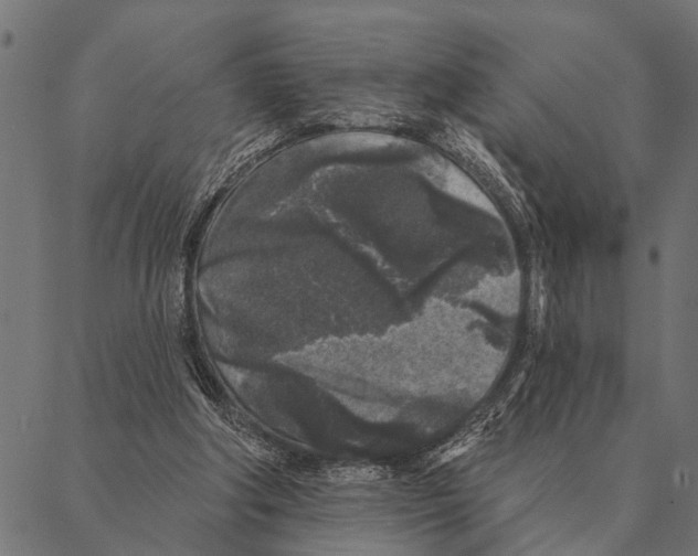 X0000087340202200705181109