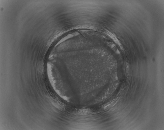 X0000087340204200705181109