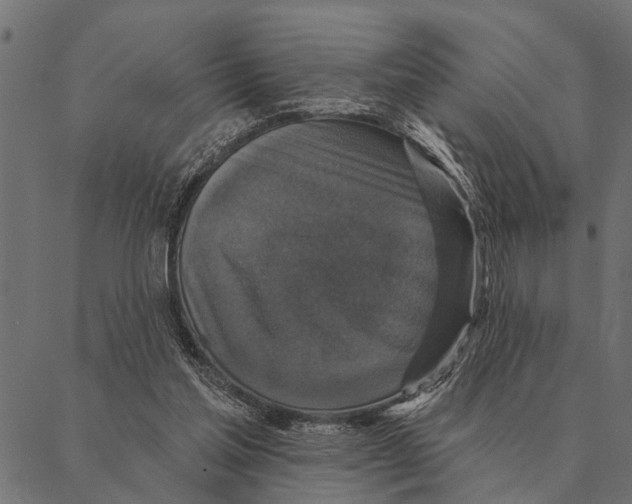 X0000087340205200705181109