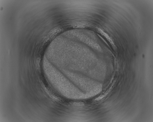 X0000087340209200705181109