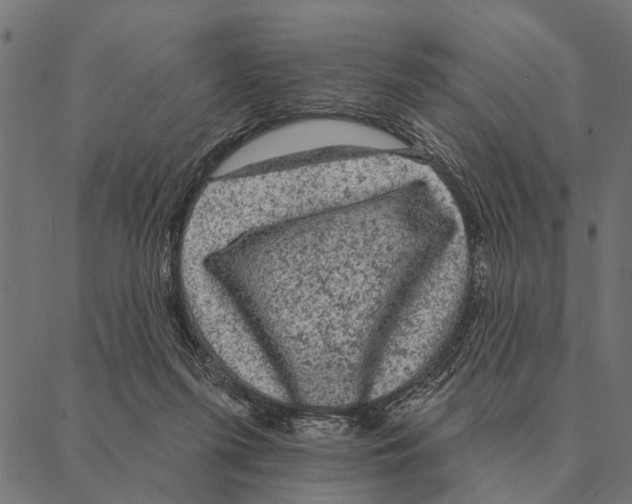 X0000087340215200705181109