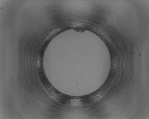 X0000087340216200705181109