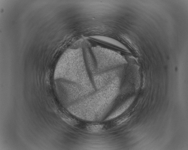 X0000087340217200705181109