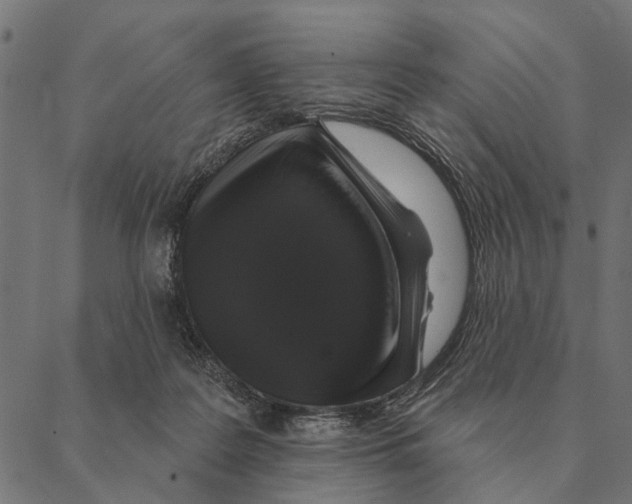 X0000087340219200705181109