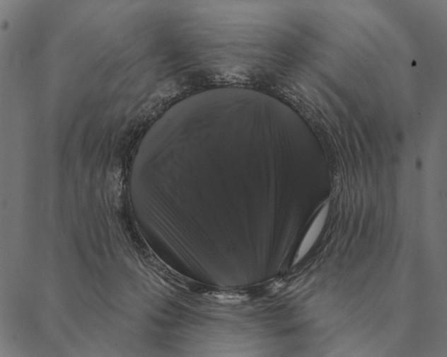 X0000087340223200705181109