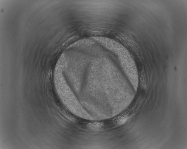 X0000087340225200705181109