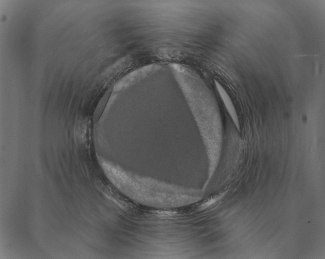 X0000087340233200705181109