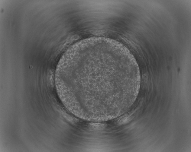 X0000087340234200705181109