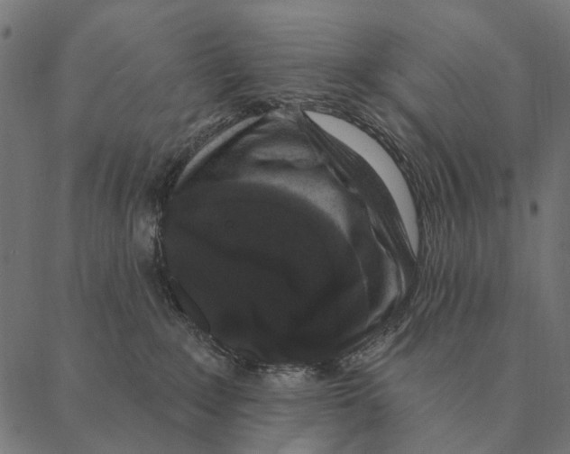 X0000087340235200705181109