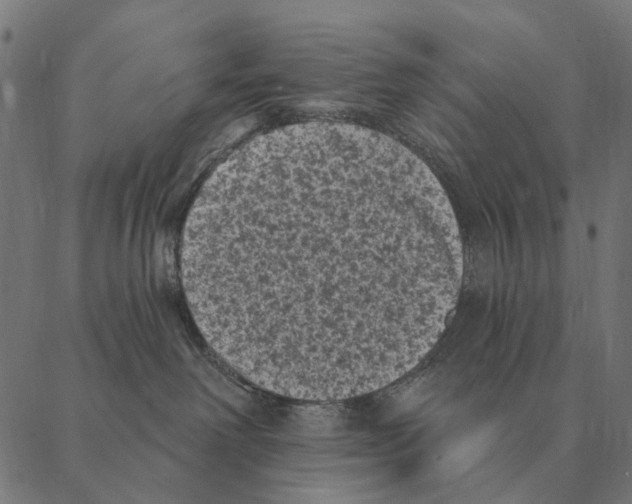 X0000087340238200705181109