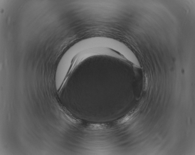 X0000087340239200705181109