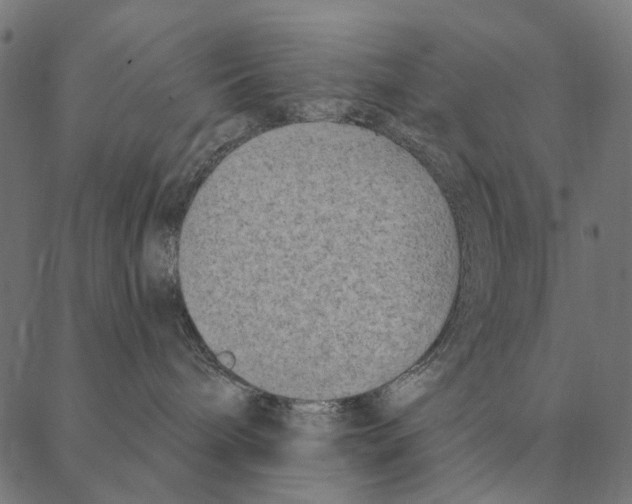 X0000087340240200705181109